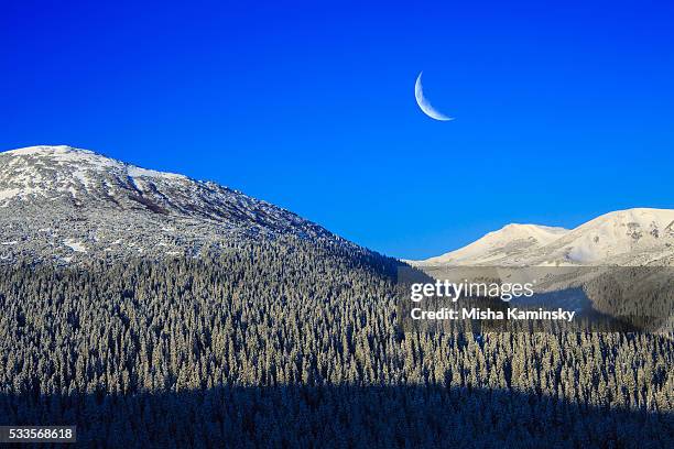 snowy mountains - winter solstice 個照片及圖片檔