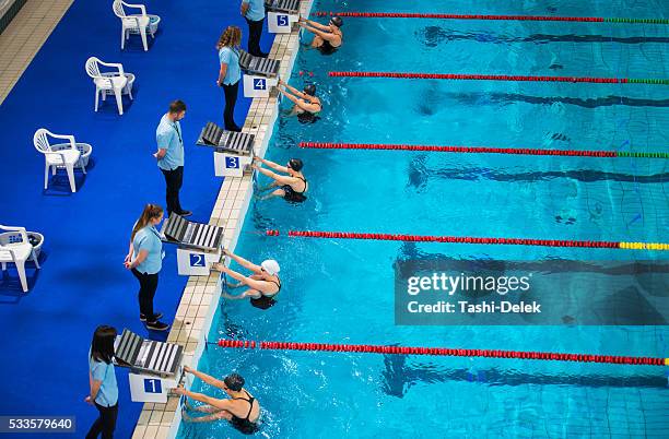 coach watching swimming competition - swimming tournament bildbanksfoton och bilder