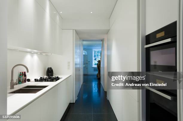 london house of amanda eliasch - narrow kitchen stock pictures, royalty-free photos & images