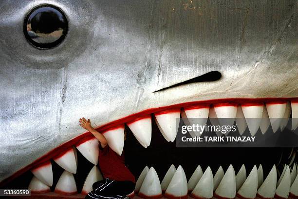 Boy looks inside the jaws of a giant Great White Shark replica at Ankara's zoo, 12 August 2005. AFP PHOTO / TARIK TINAZAY