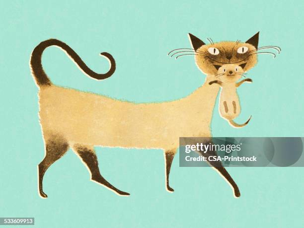 siamese cat with kitten - siamese cat stock illustrations