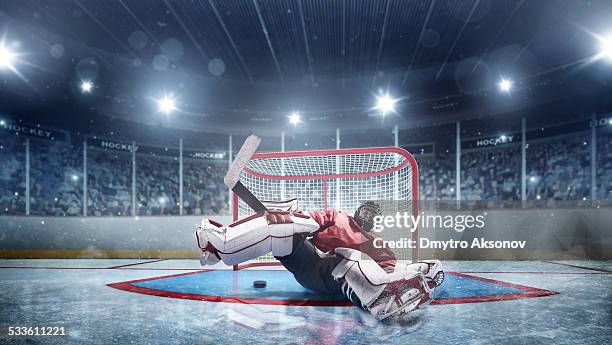 ice hockey goalie - professional hockey stock pictures, royalty-free photos & images