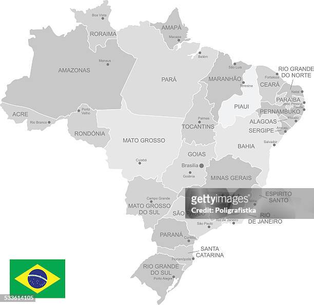 ilustrações de stock, clip art, desenhos animados e ícones de detalhada vetor mapa do brasil - ceará state brazil