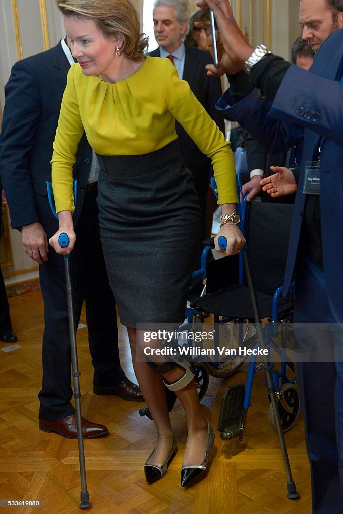 Queen Mathilde attends a european conference on Ebola