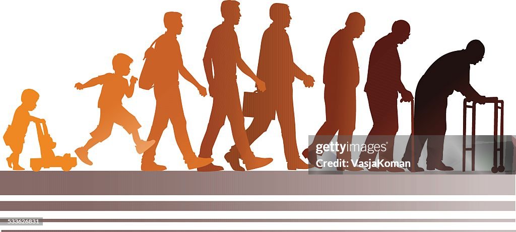 Aging Progression Human Aging Process