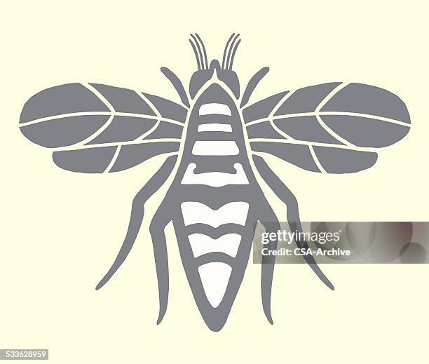 hornet - hornet stock illustrations