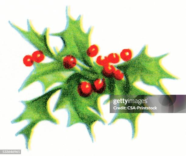 mistletoe - holly stock illustrations