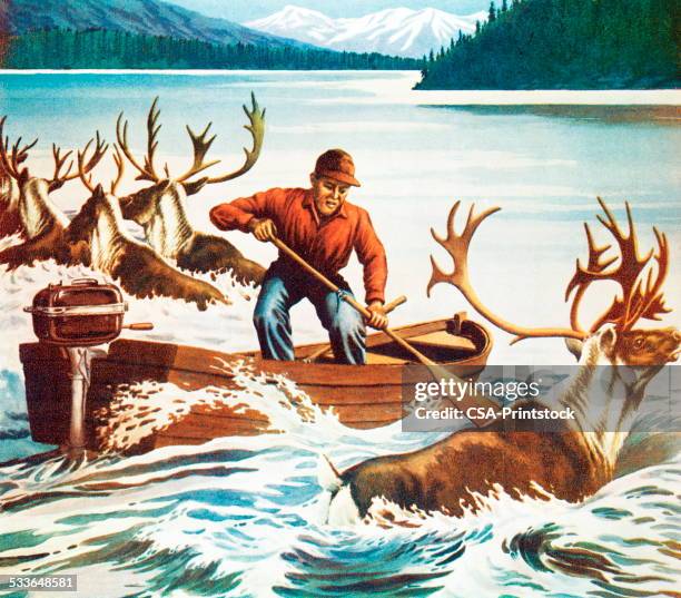 herding caribou - stampede stock illustrations