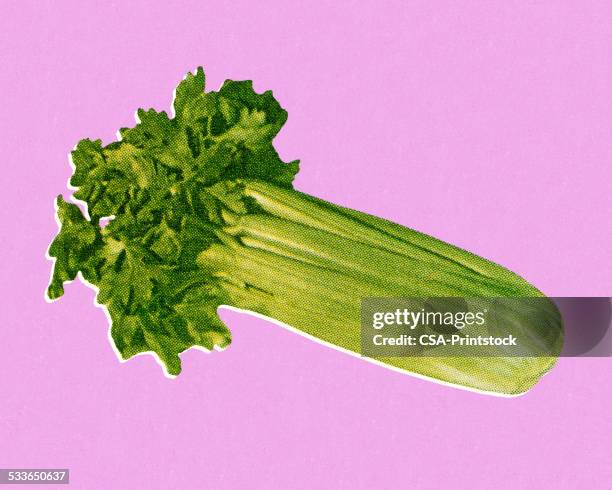 stalk of celery - celery stock illustrations