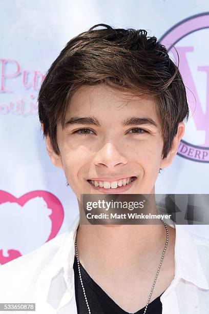 Actor Mateo Simon attends the World Dog Day Celebration at The City of West Hollywood Park on May 22, 2016 in West Hollywood, California.