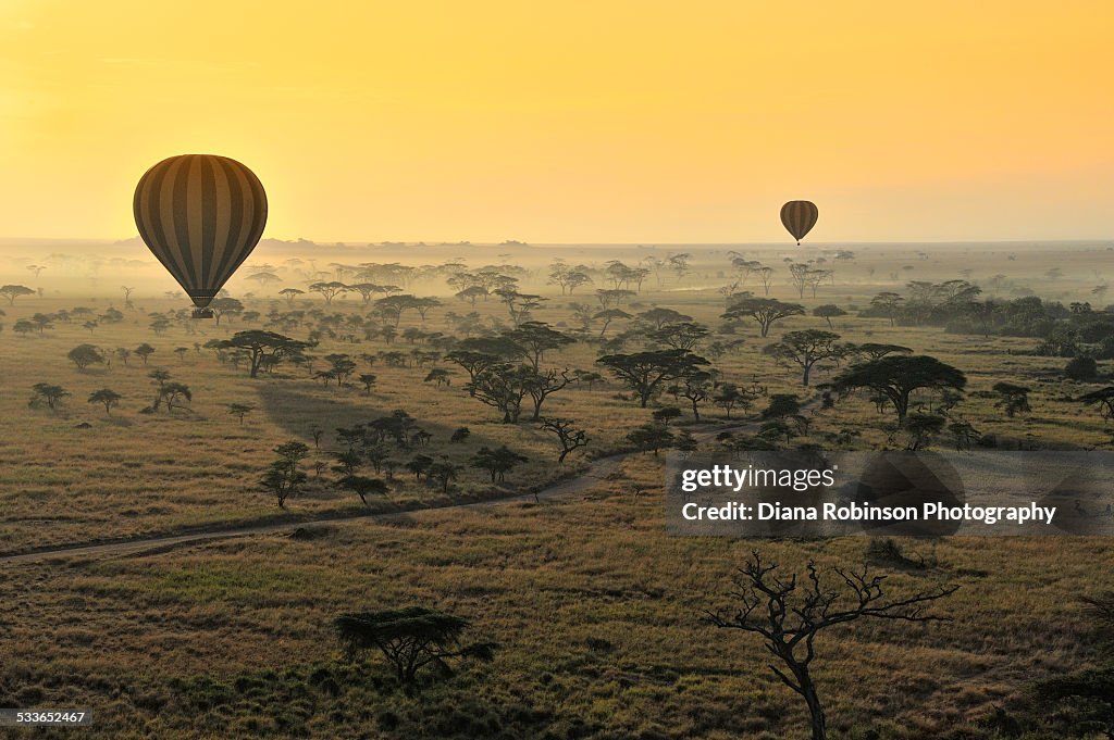 Hot Air Balloons Over the Serengeti