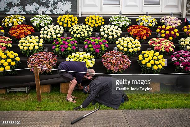 Police officer is assisted as he performs last minute security checks at the Chelsea Flower Show on May 23, 2016 in London, England. The prestigious...