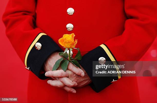 Chelsea Pensioner holds a rose as he stands in the 5000 Poppies Garden at the Chelsea Flower Show in London on May 23 the garden, created by...