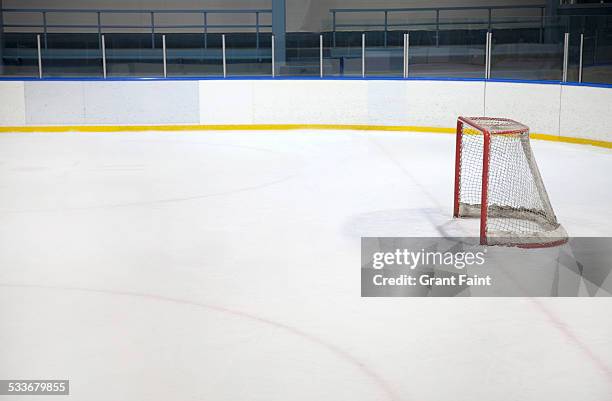 ice hockey net - pista de hockey de hielo fotografías e imágenes de stock