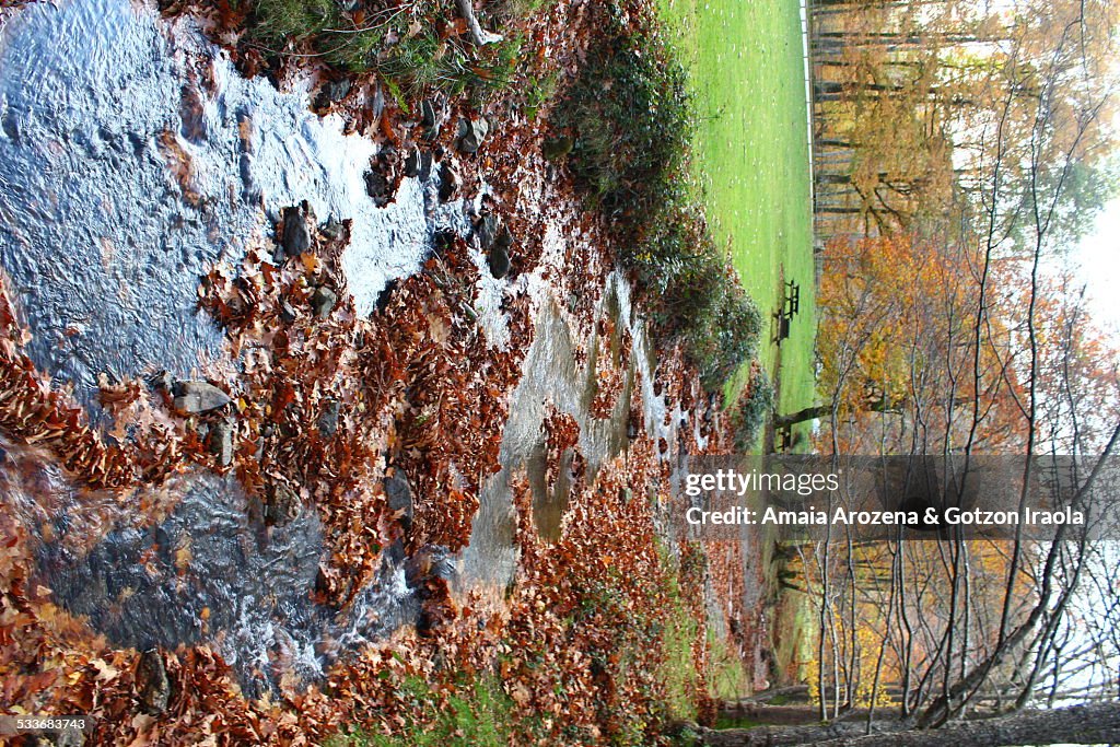 Creek in Leitzalarrea