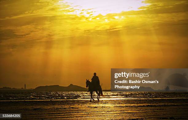 the alone rider - clifton beach pakistan stock pictures, royalty-free photos & images