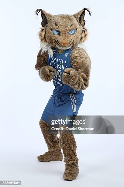 Minnesota Lynx mascot Prowl poses for portraits during 2016 Media Day II on May 20, 2016 at the Minnesota Timberwolves and Lynx Courts at Mayo Clinic...