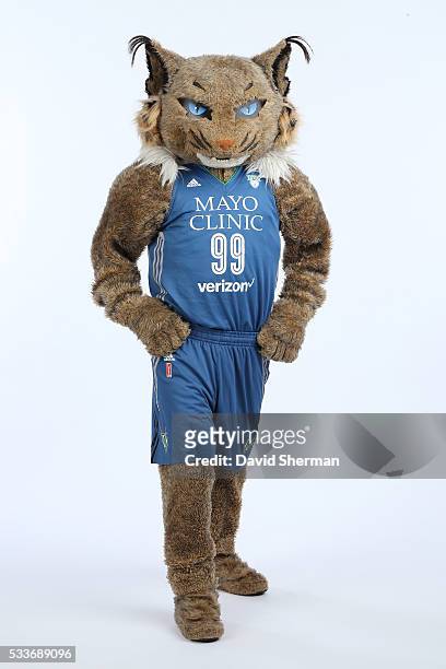 Minnesota Lynx mascot Prowl poses for portraits during 2016 Media Day II on May 20, 2016 at the Minnesota Timberwolves and Lynx Courts at Mayo Clinic...