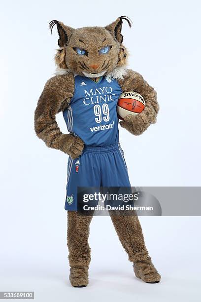 Minnesota Lynx mascot Prowl poses for portraits during 2016 Media Day II on May 20, 2016 at the Minnesota Timberwolves and Lynx Courts at Mayo Clinic...