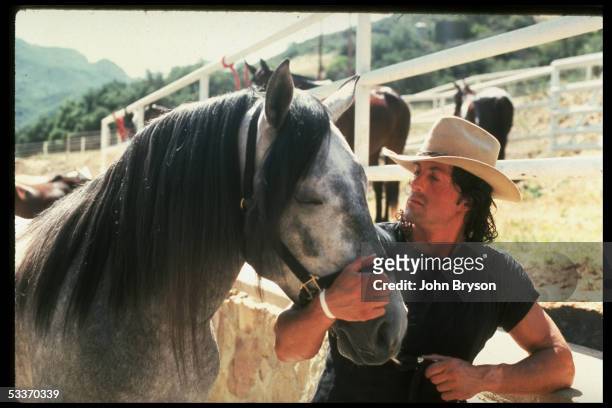 Actor Sylvester Stallone affectionately holding head of his polo pony at Will Rogers State Park.