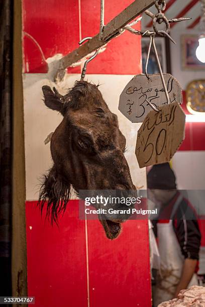 camel head in a butcher shop - dead camel stock pictures, royalty-free photos & images