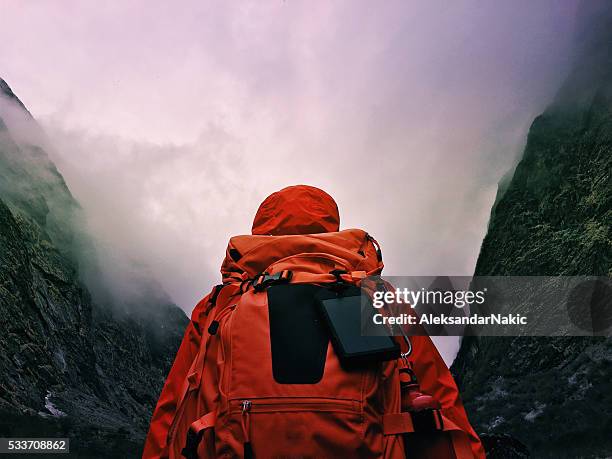 hiker - himalayas climbers stock pictures, royalty-free photos & images