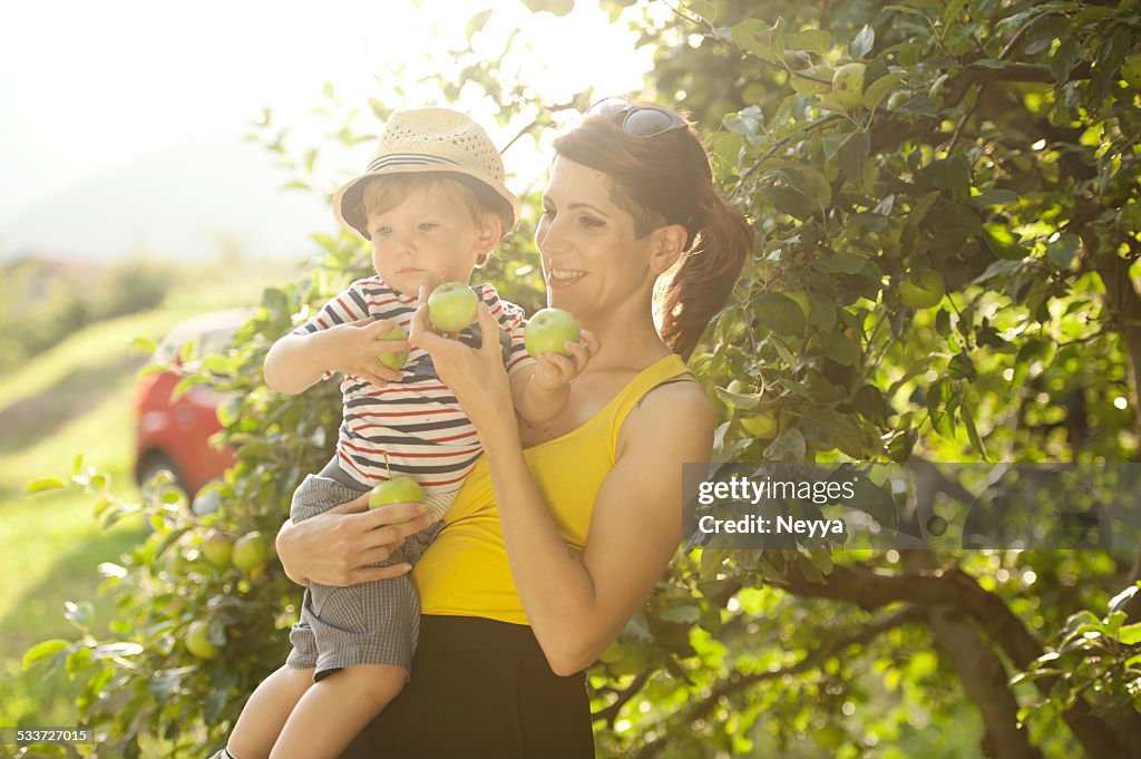 Young Mother and her Son Picking Apples