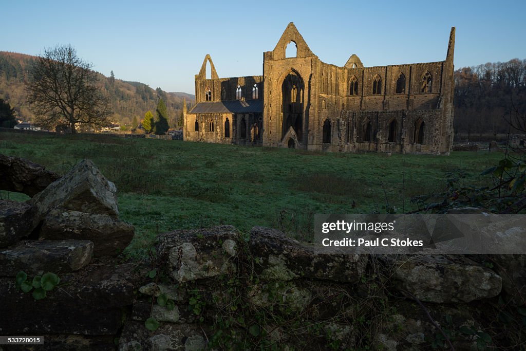 Tintern Abbey