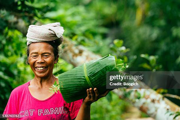 balinés farm mujer trabajando jatiluwih arroz terraza indonesia - indonesian farmer fotografías e imágenes de stock