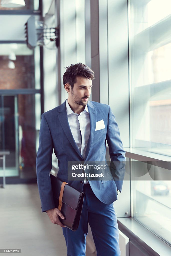 Elegant businessman in the office