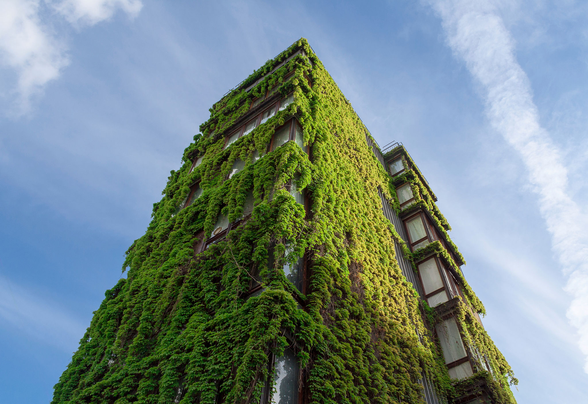 green building expo