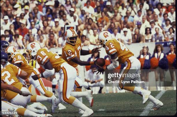 Football: Tampa Bay Buccanneers QB Doug Williams in action, handing off ball to teammate Ricky Bell vs Chicago Bears.