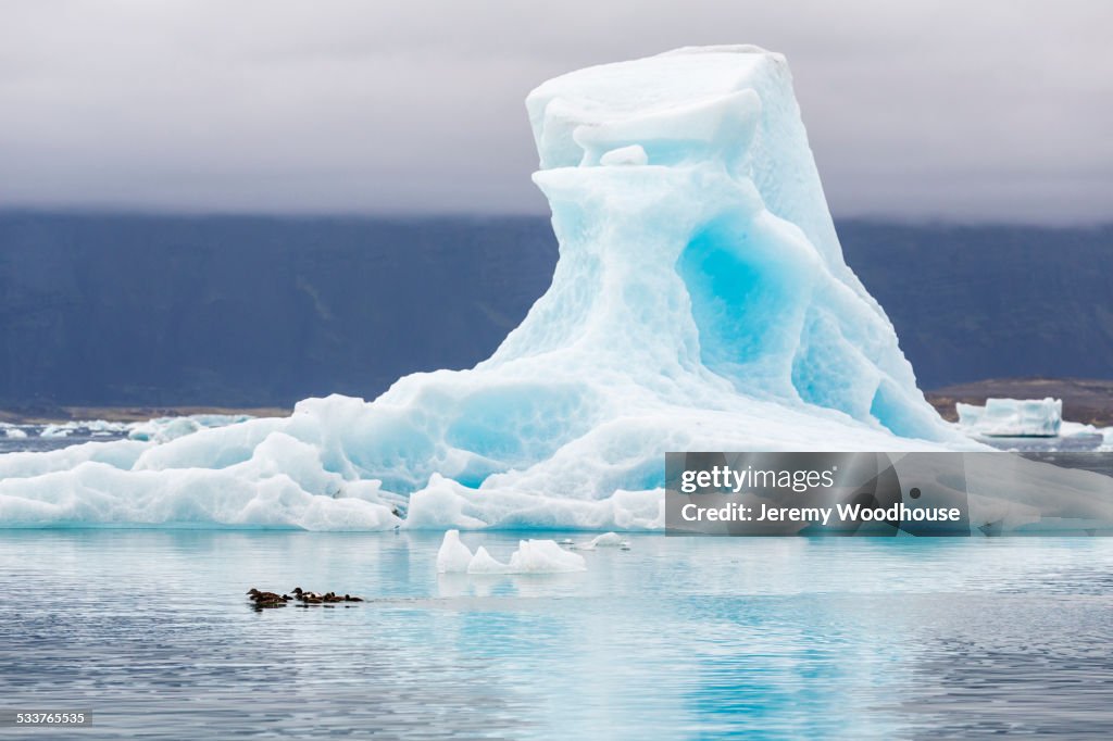 Glacier floating in Jokulsarlon Glacier Lagoon, Iceland