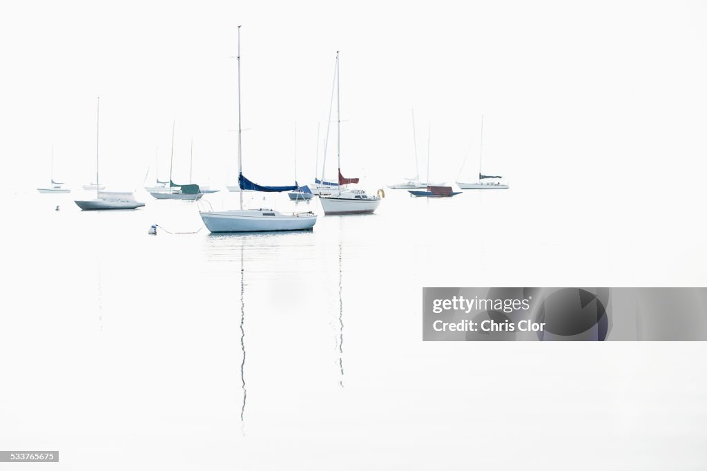 Boat masts reflecting in water