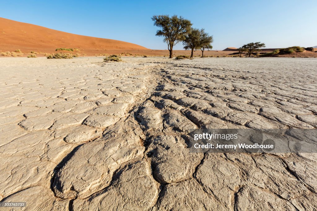 Cracked earth in dried lake bed in desert landscape