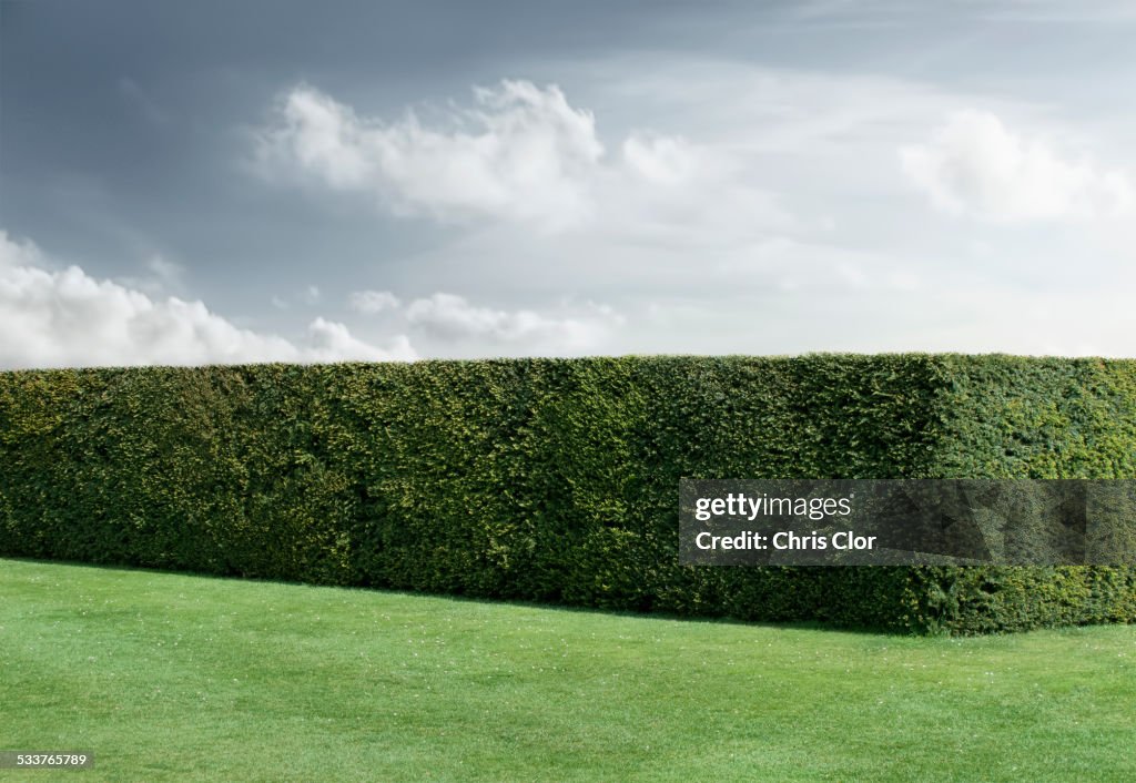 Neatly trimmed hedges and lawn under cloudy sky