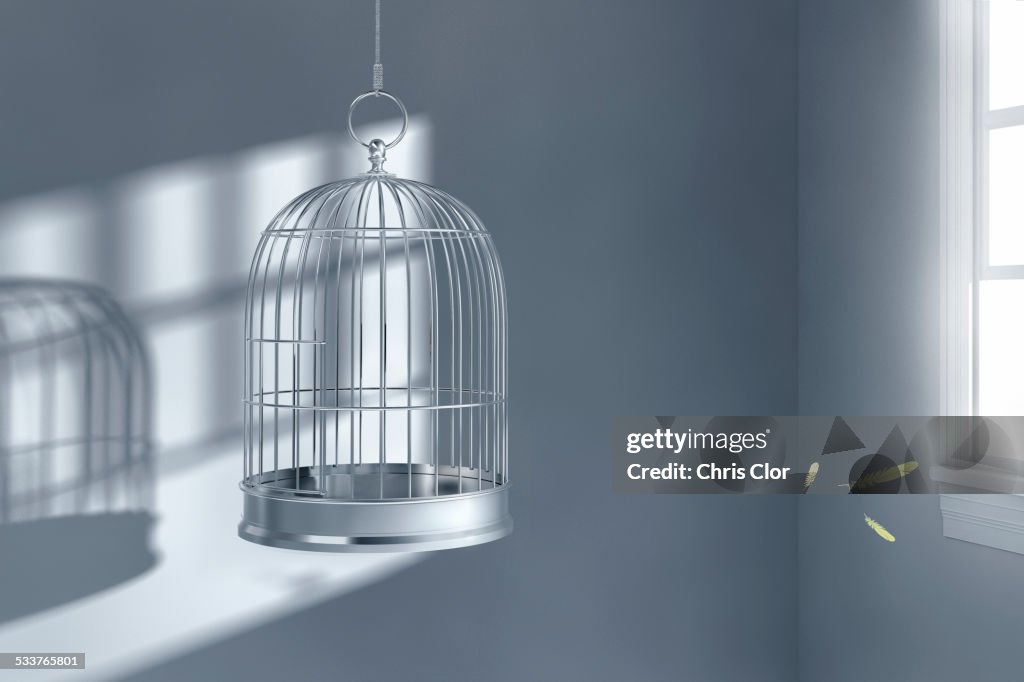 Feathers floating near empty birdcage