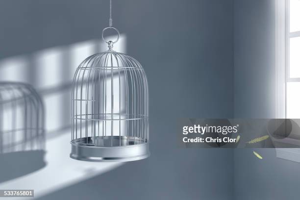 feathers floating near empty birdcage - cage stock pictures, royalty-free photos & images