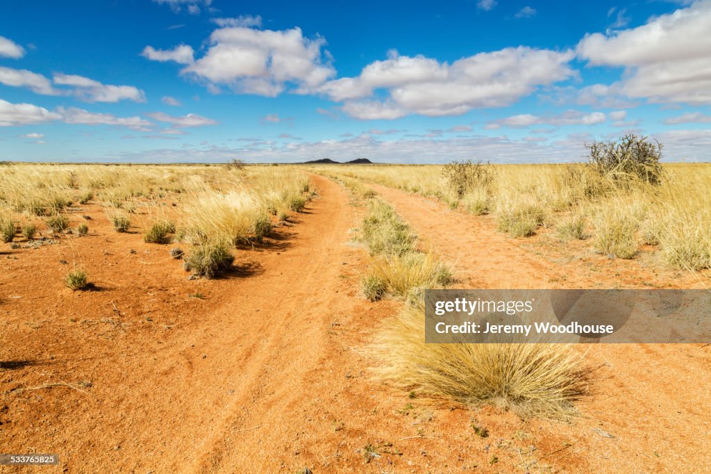 Dirt road under blue sky in desert landscape