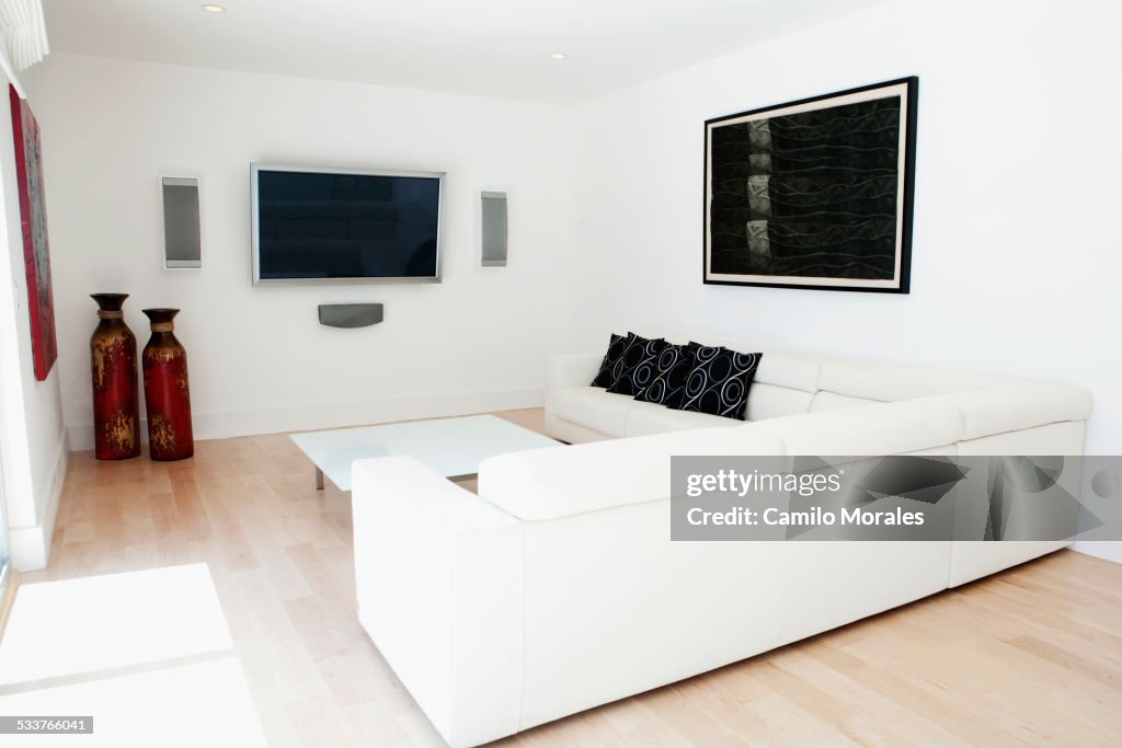 Sofas, television and wall art in modern living room