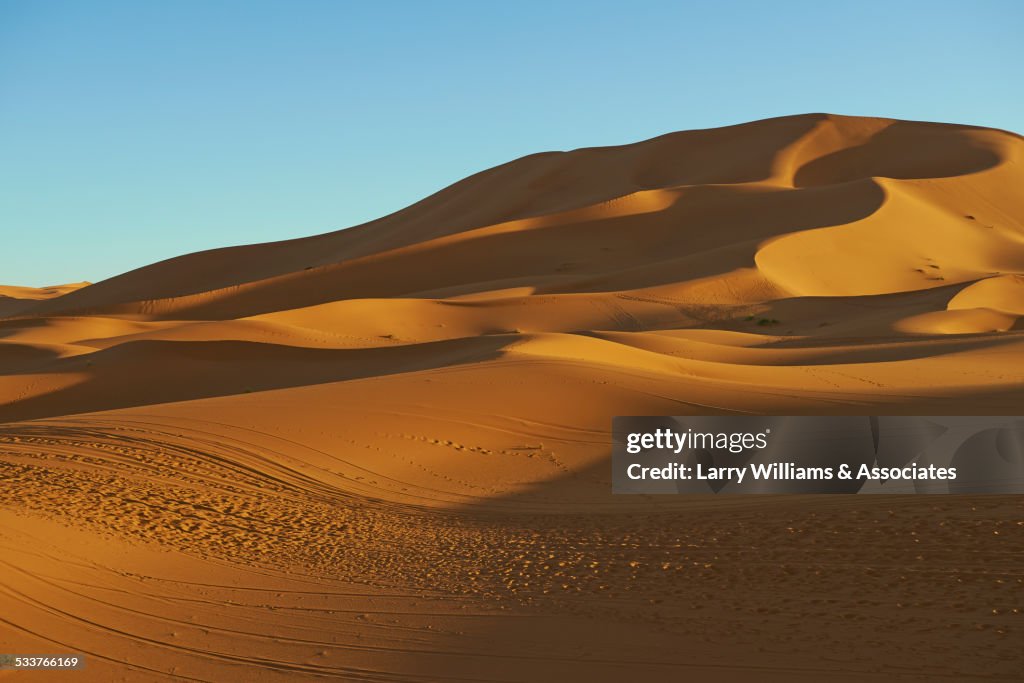 Sand dunes in desert landscape