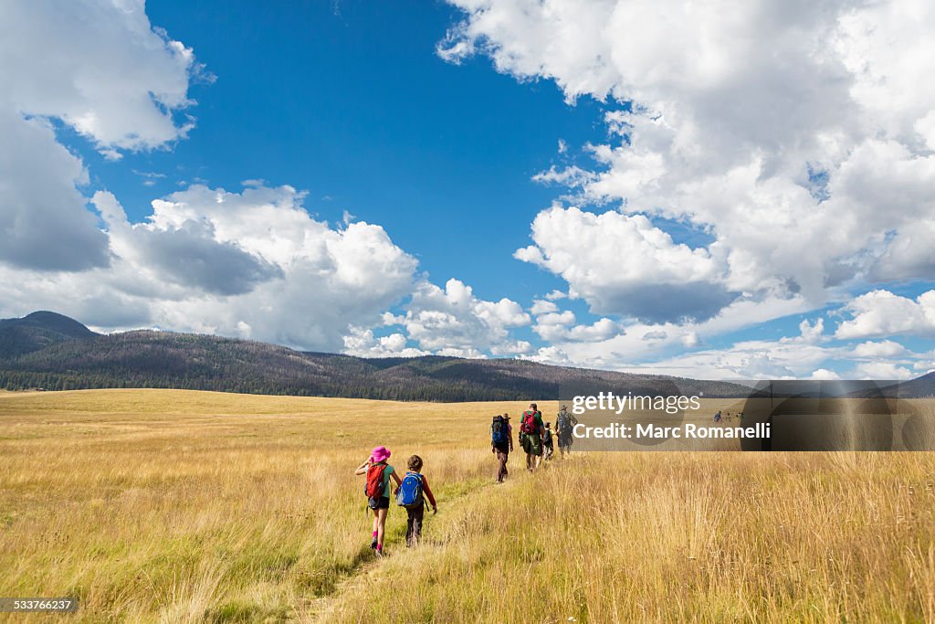Caucasian children walking in grassy field in remote landscape