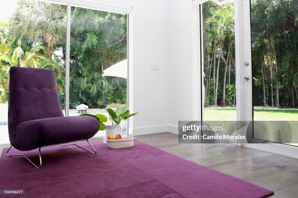 Rug, chair and windows in modern living room