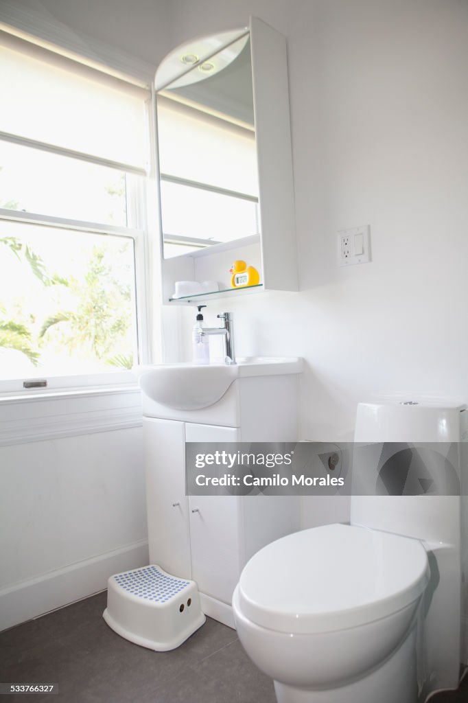 Toilet, sink and mirror in modern bathroom