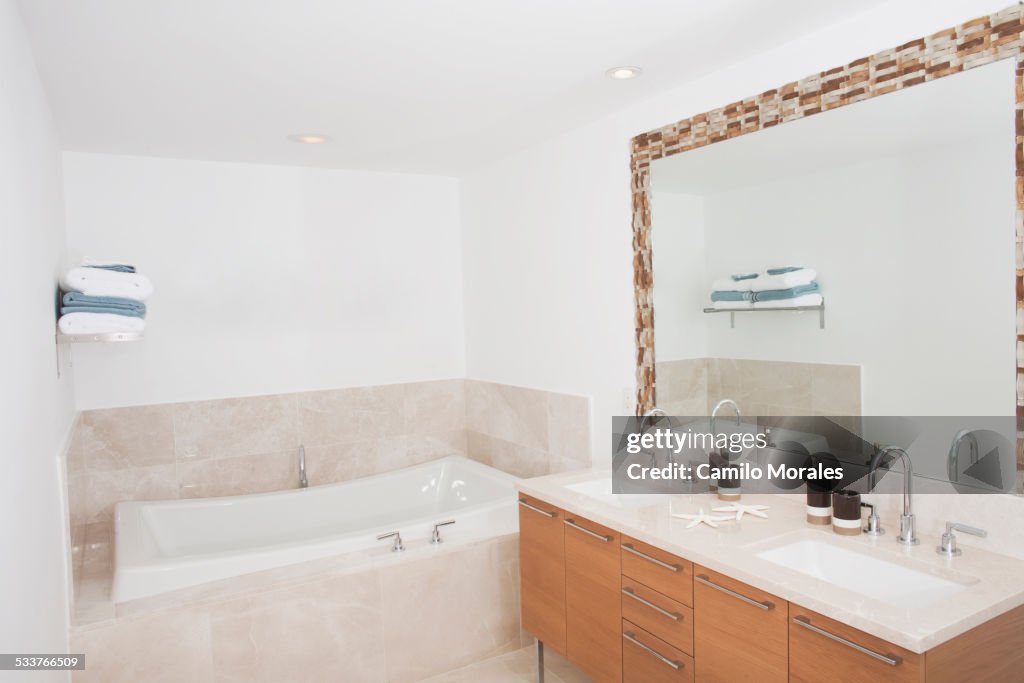Bathtub, sinks and mirror in modern dining room
