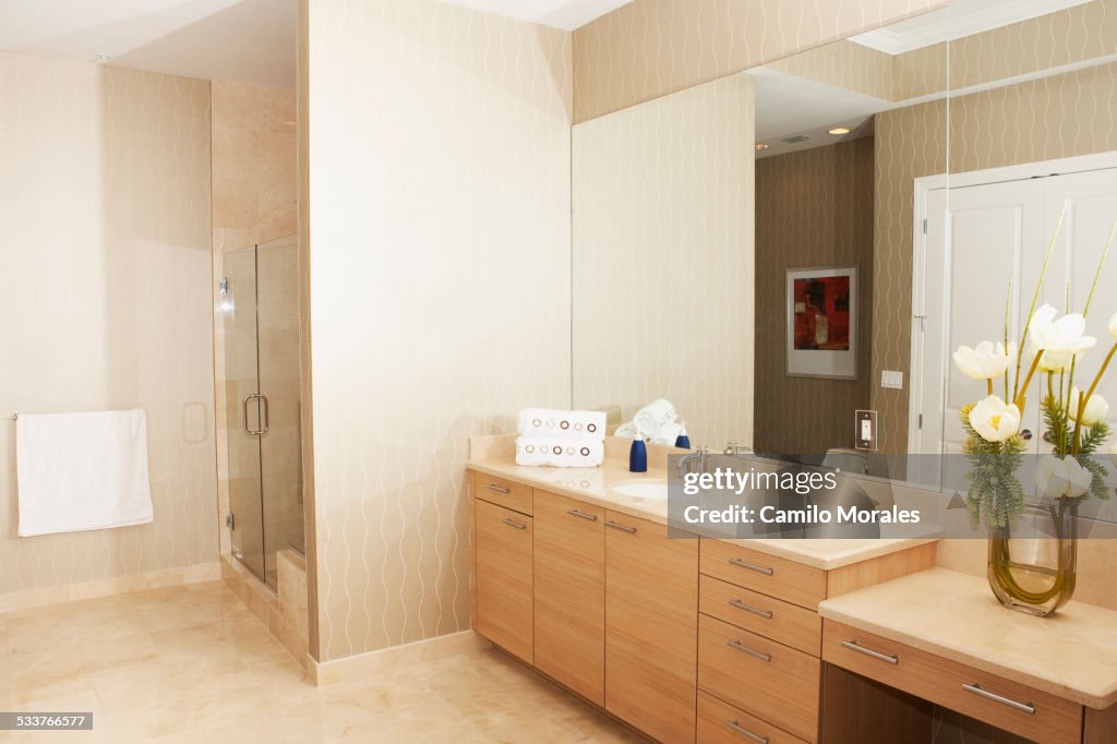 Mirror, sink and shower in modern bathroom