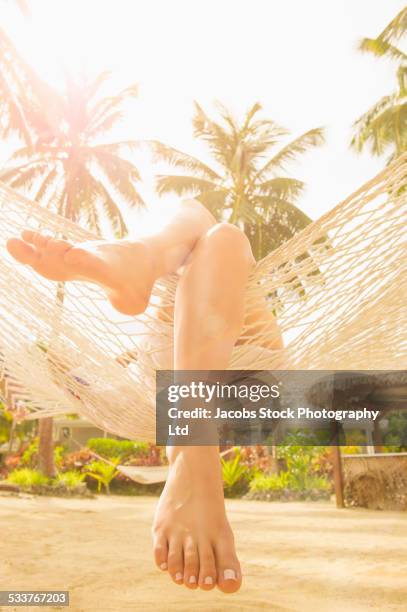 caucasian woman relaxing in hammock - palm sunday stockfoto's en -beelden