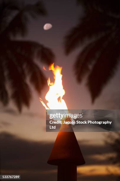 close up of burning torch at night - rarotonga stock pictures, royalty-free photos & images