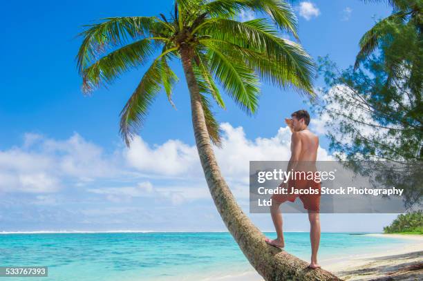 caucasian man standing on palm tree on tropical beach - badehose stock-fotos und bilder