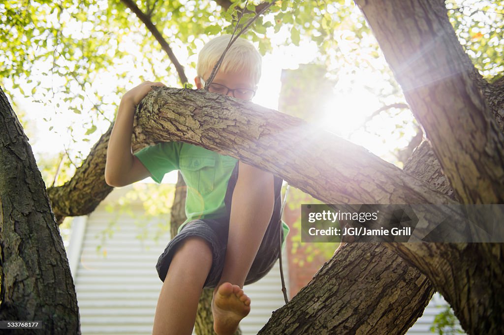 Low angle view of Caucasian boy climbing tree